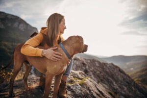 hiking with dogs