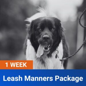 1 Week Leash Manners Package