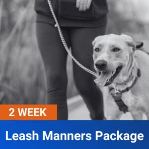 2 week Leash Manners Package
