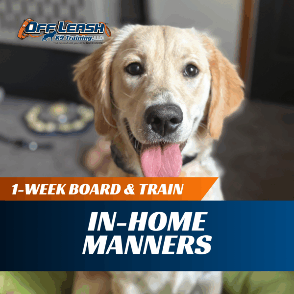 1-Week Board & Train: In-Home Manners