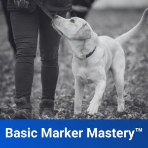 Basic Marker Mastery™