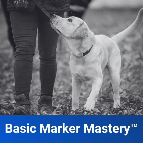 Basic Marker Mastery™