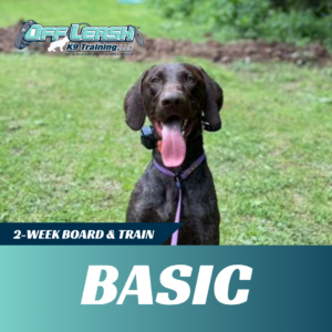 basic board and train off leash k9 training west virginia
