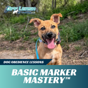 basic marker mastery off leash k9 training west virginia
