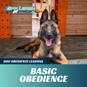 basic obedience off leash k9 training west virginia