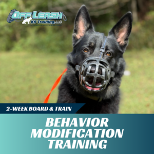 behavior modification board and train off leash k9 training west virginia