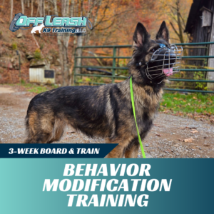 behavior modification training off leash k9 training west virginia