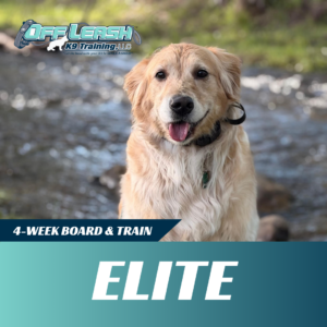 elite board and train off leash k9 training west virginia