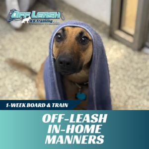 off leash in home board and train off leash k9 training west virginia
